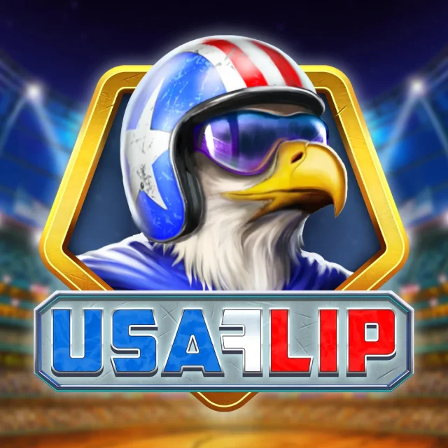 Portada del juego USA Flip