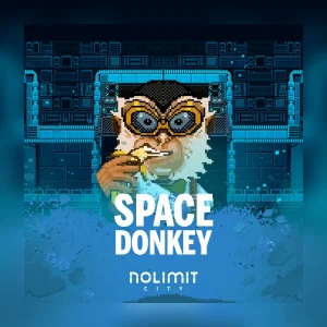 Space Donkey