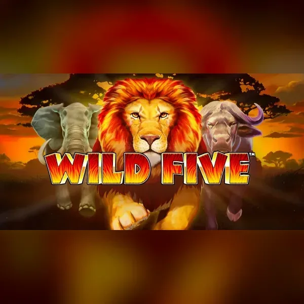 Wild Five slot artwork