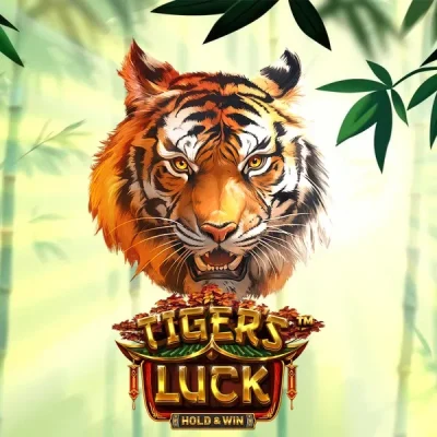 Tiger’s Luck – HOLD & WIN Slot Review