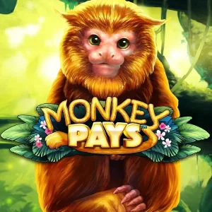 Monkey Pays