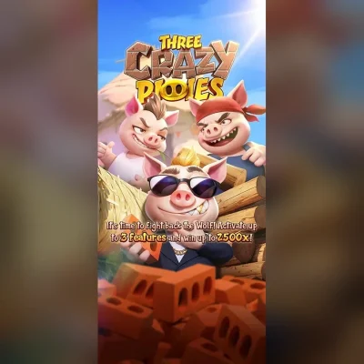 Three Crazy Piggies Slot Review
