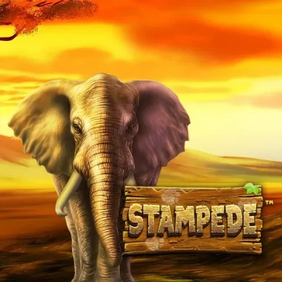 Stampede Slot Review